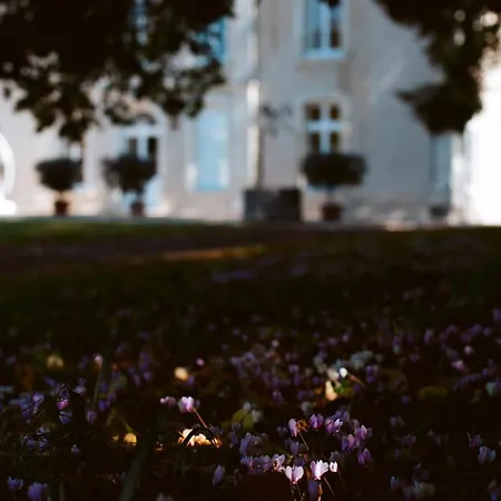 Chateau Chevreuil Nyaraló Fresnay-en-Retz